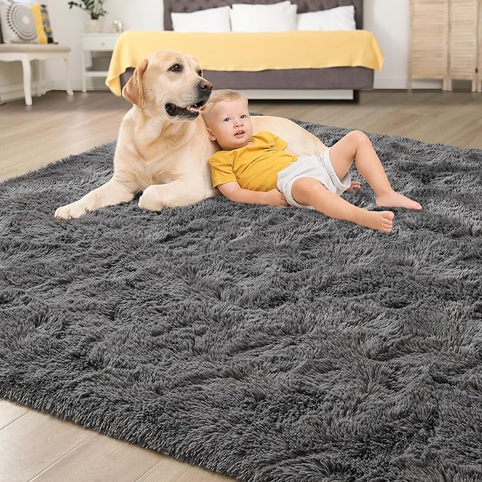 Tepook Soft Fluffy Rugs for Bedroom, 4x6 Area Rug for Living Room, Modern - Image 4