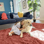 OLANLY 2x3 Machine Washable Small Bedside Rug, Soft Fluffy Shaggy Entryway - Image 5