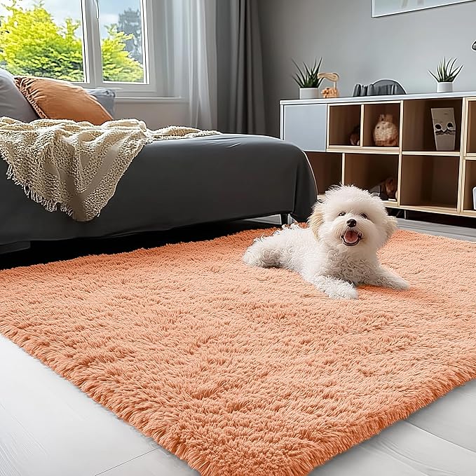 OLANLY 3x5 Machine Washable Small Bedside Rug, Soft Fluffy Shaggy Rugs by OLANLY