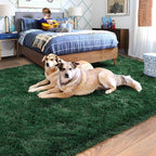 Rugs for Living Room 6x9, Soft Shaggy Modern Shag Area Rug for Bedroom - Image 2