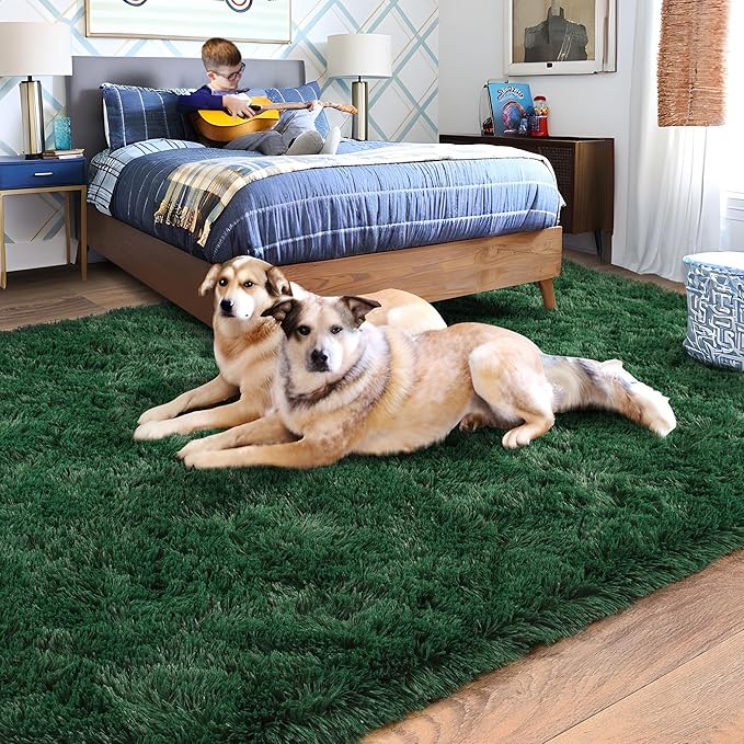 Rugs for Living Room 8x10, Soft Shaggy Modern Shag Area Rug for Bedroom - Image 3