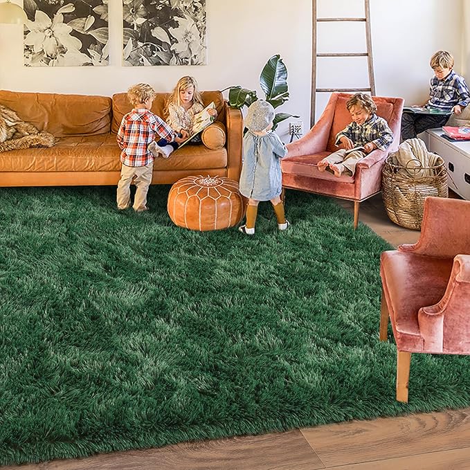 Rugs for Living Room 6x9, Soft Shaggy Modern Shag Area Rug for Bedroom by Quntue