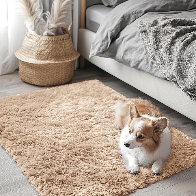 OLANLY 2x2 Machine Washable Small Rug, Soft Fluffy Shaggy Throw Rug by OLANLY
