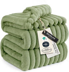 Bedsure GentleSoft Reseda Full Blanket by BEDSURE