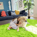 OLANLY 2x3 Machine Washable Small Bedside Rug, Soft Fluffy Shaggy Entryway - Image 5