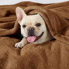 Bedsure GentleSoft Fleece Blanket Twin Size Orange - Image 3