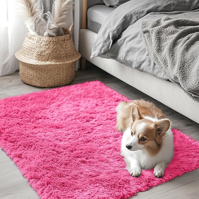 OLANLY 2x3 Machine Washable Small Bedside Rug, Soft Fluffy Shaggy Entryway by OLANLY