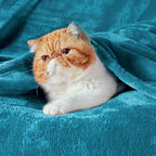 Bedsure GentleSoft Fleece Blanket Twin Size Teal - Image 2