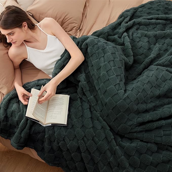Bedsure GentleSoft King Size Spring Blanket - Image 2