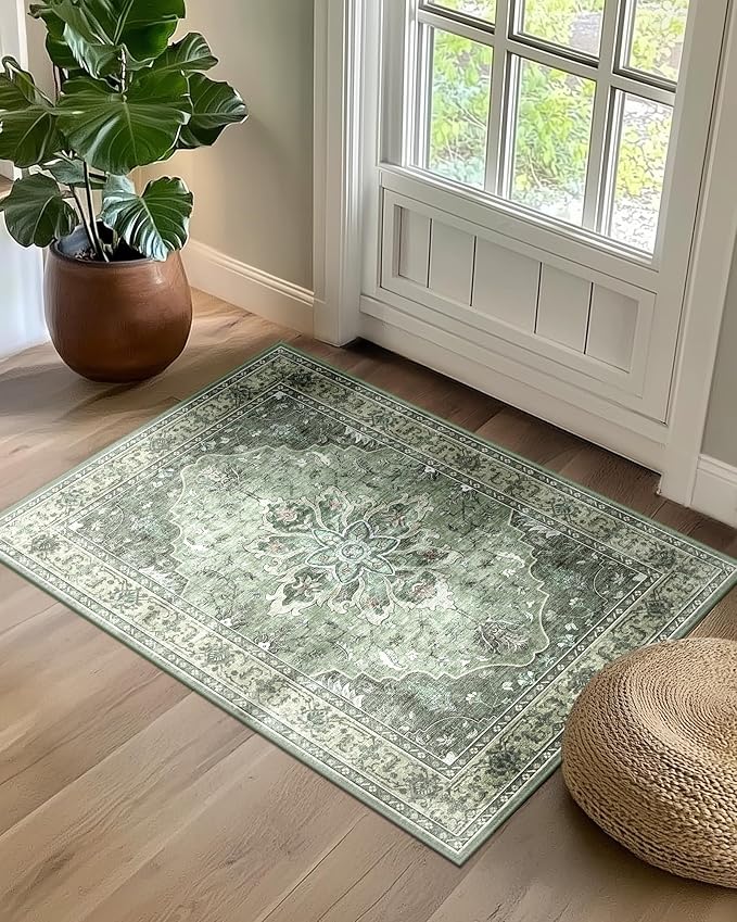 Area Rugs 2'x3' Kitchen Rugs Entry Rug Small Rugs by RELEANY