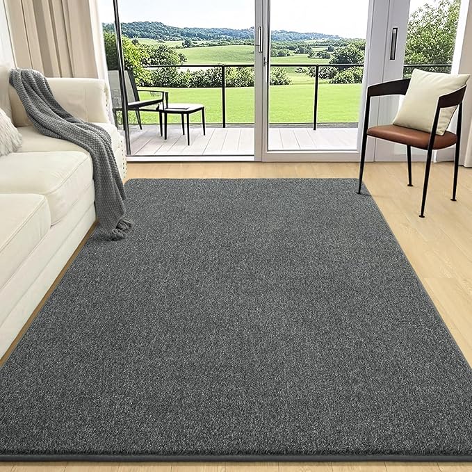 AROGAN Washable 5×7 Living Room Rug, Modern Area Rugs - Image 2