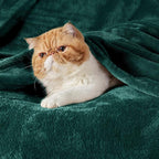 Bedsure GentleSoft Fleece Blankets King Size Emerald Green - Image 2