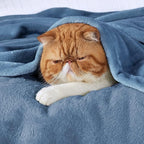 Bedsure GentleSoft Fleece Blankets King Size Washed Blue - Image 2