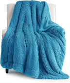 Bedsure GentleSoft Fluffy Bright Blue Throw Blanket Gifts by BEDSURE