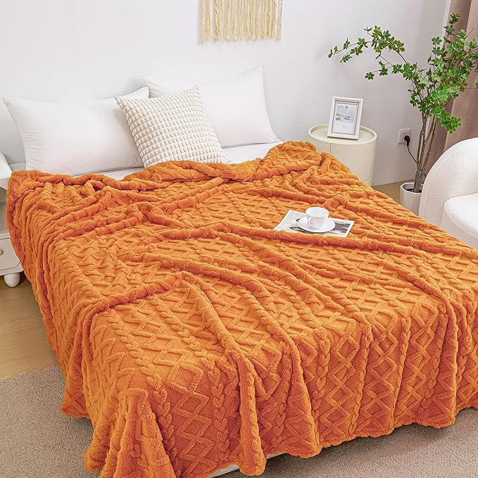 Aganear Blanket Queen Size by Aganear