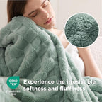 Bedsure GentleSoft Full Size Blankets - Image 4
