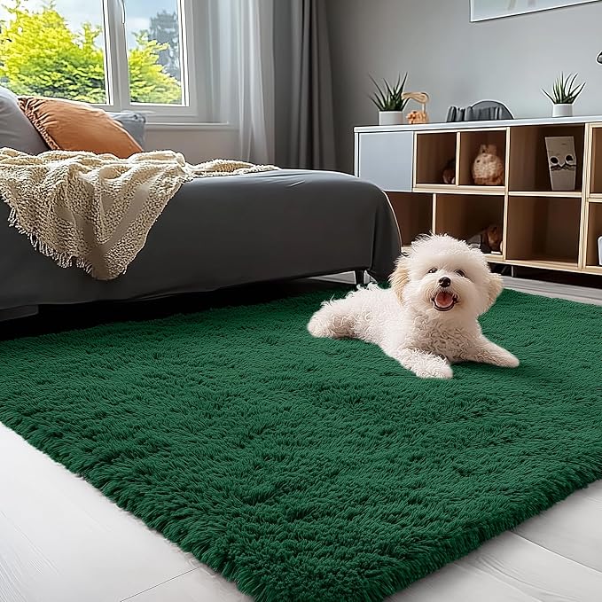OLANLY 3x5 Machine Washable Small Bedside Rug, Soft Fluffy Shaggy Rugs by OLANLY