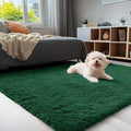 OLANLY 3x5 Machine Washable Small Bedside Rug, Soft Fluffy Shaggy Rugs by OLANLY