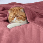 Bedsure GentleSoft Fleece Throw Blanket - Image 3
