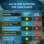Leaves & Soul Palm Tree Fertilizer 6-4-6, Liquid Palm Plant Food, 32 oz