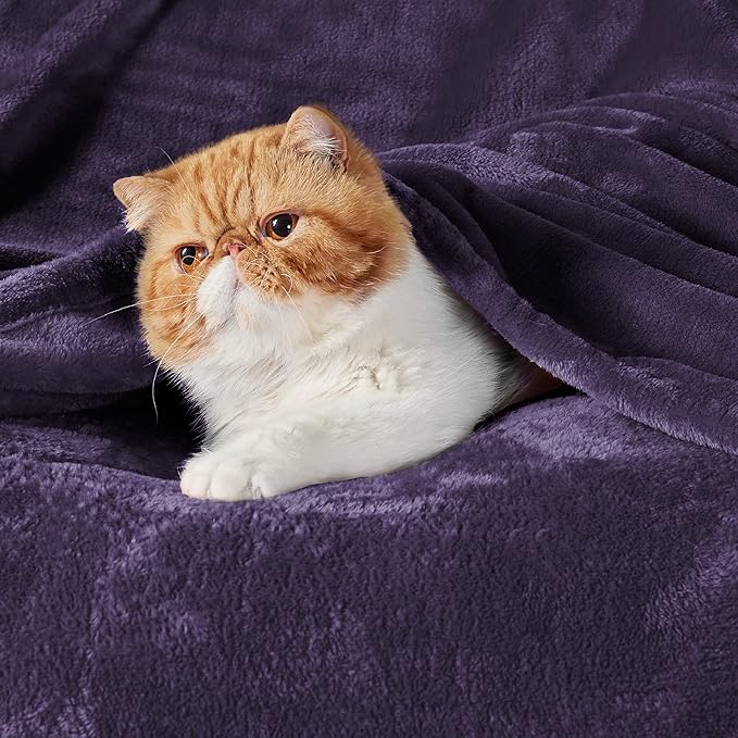 Bedsure GentleSoft Fleece Throw Blanket Purple - Image 2