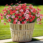 Artificial Fake Flowers Plants for Outdoor Spring Summer Decor 12 Bundles