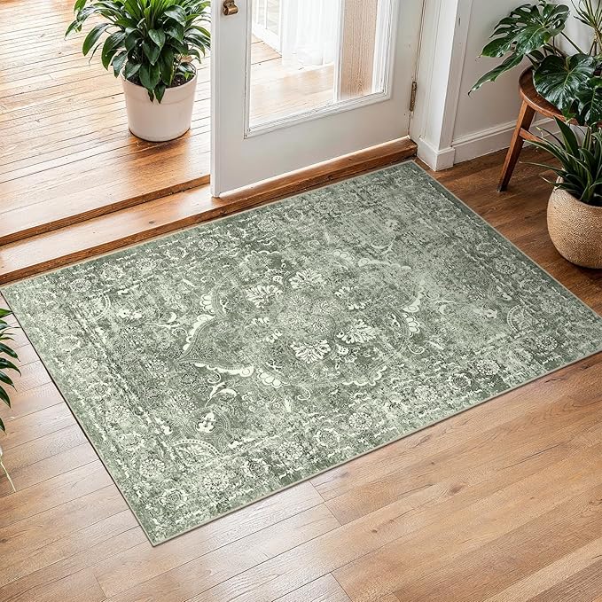 2x3 Entryway Area Rug Washable by EISUROM