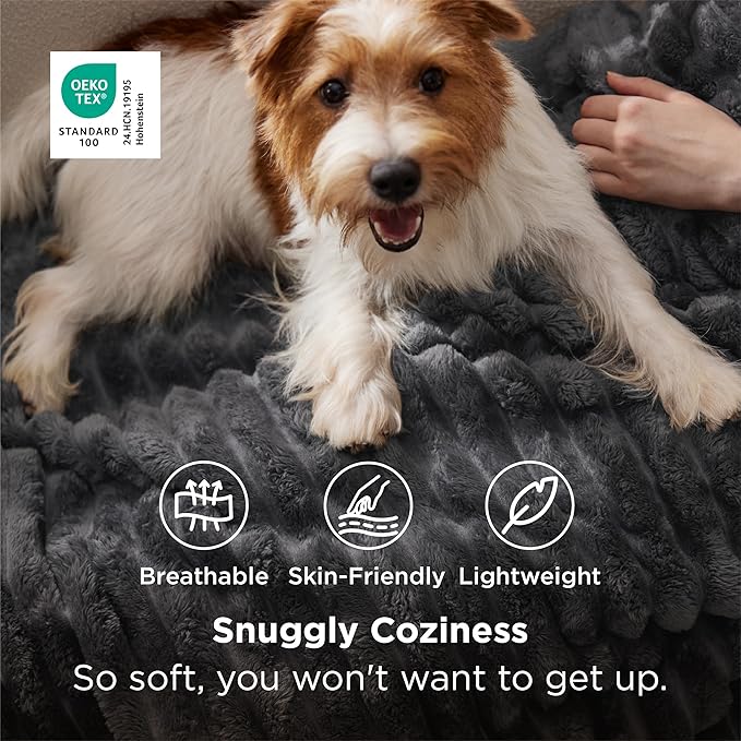 Bedsure GentleSoft Grey Fleece Twin Blanket - Image 2