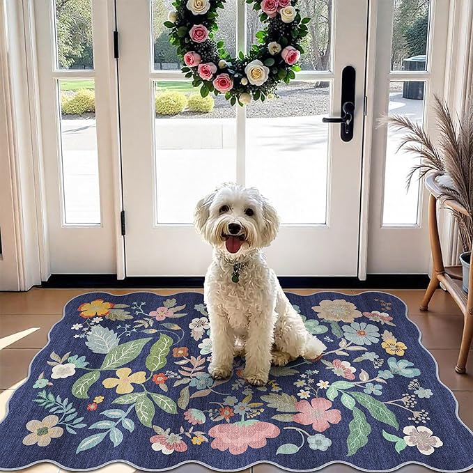 Washable 2x3 Area Rug for Entryway: Easy-Clean Carpet by HYHAOYUNLAI