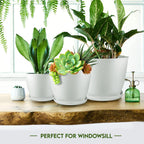 Plant Pots Indoor with Drainage, 5 Pack Multi-Size Planters Set, White