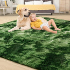 Tepook Soft Fluffy Rugs for Bedroom, 4x6 Area Rug for Living Room, Modern - Image 4