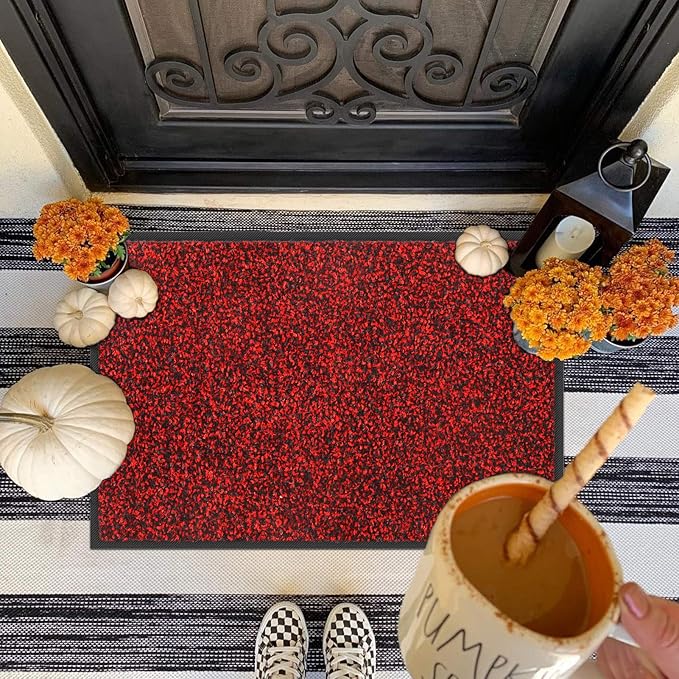 Mibao Front Door Mat, Dirt Trapper Welcome Mat - Image 2