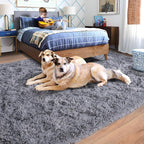 Rugs for Living Room 5x7, Soft Shaggy Modern Shag Area Rug for Bedroom - Image 3