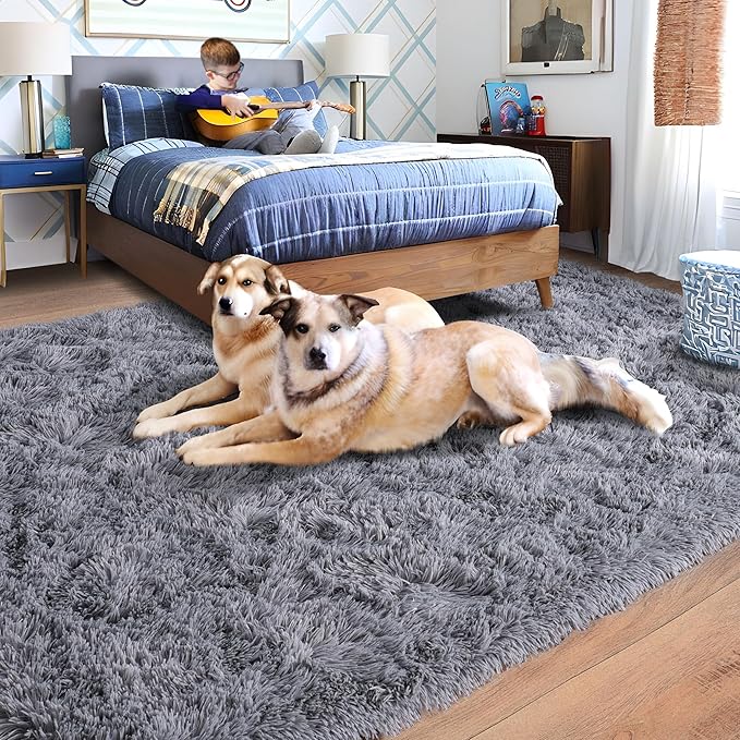 Rugs for Bedroom 4x6, Soft Shaggy Modern Shag Area Rug for Living Room - Image 2