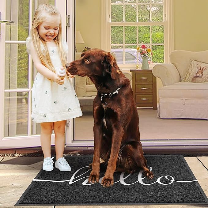EARTHALL Funny Hello Mats Outdoor, Front Door Mat - Image 6