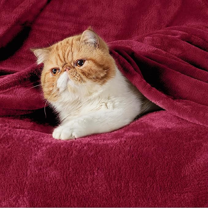 Bedsure GentleSoft Fleece Throw Blanket Red - Image 2