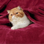 Bedsure GentleSoft Fleece Throw Blanket Red - Image 2