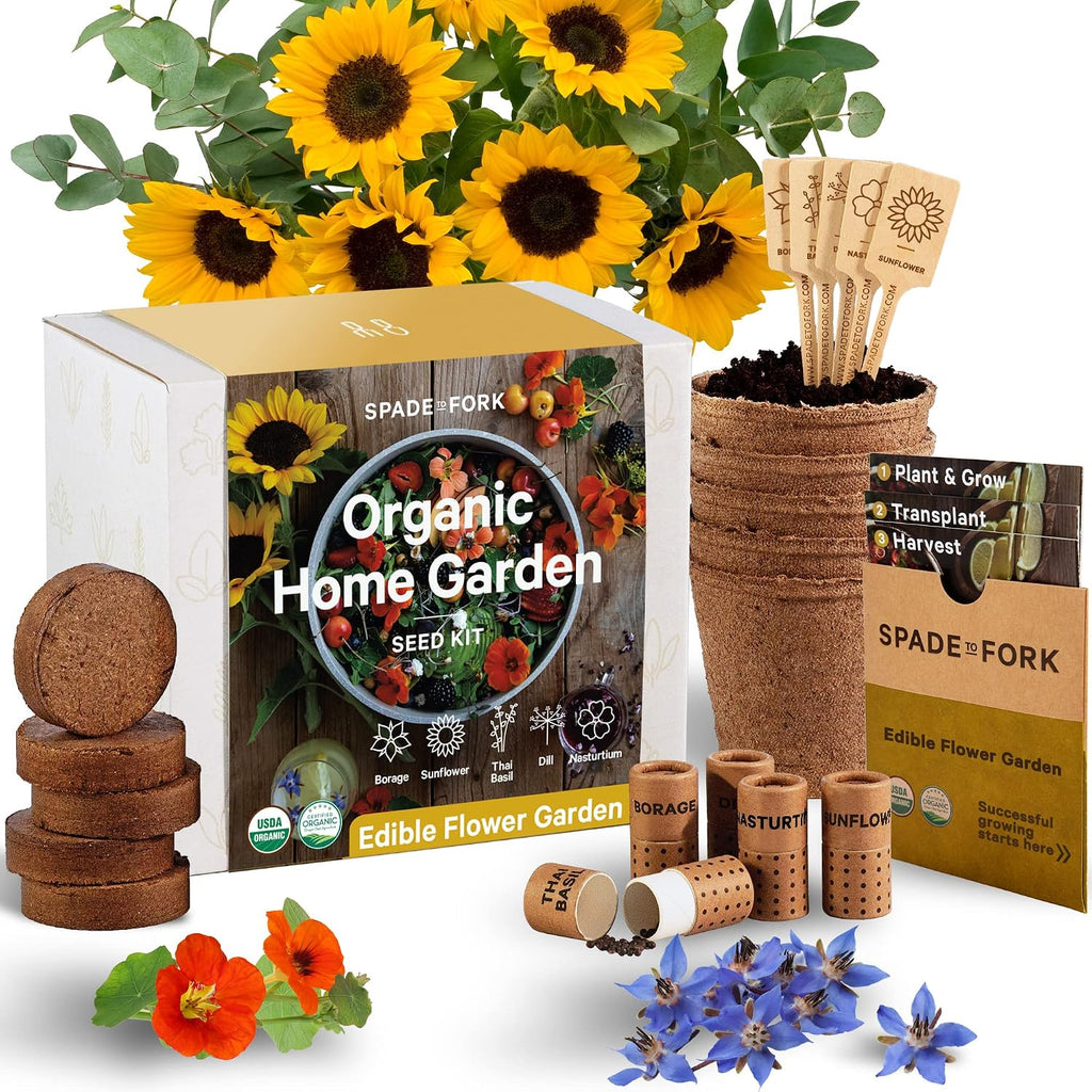Organic Indoor Vegetable Garden Starter Kit - Made in USA - Certified USDA Organic - 5 Seed Types Cherry Tomato, Lettuce, Carrot, Radish, Green Bean | Indoor Plant Seeds, Indoor Garden Kit, Plant Kit