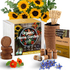 Organic Indoor Vegetable Garden Starter Kit - Made in USA - Certified USDA Organic - 5 Seed Types Cherry Tomato, Lettuce, Carrot, Radish, Green Bean | Indoor Plant Seeds, Indoor Garden Kit, Plant Kit