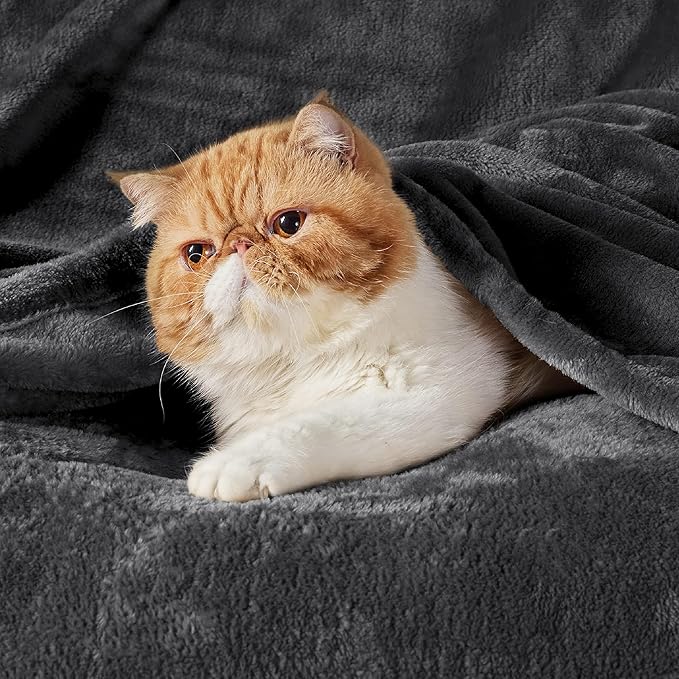 Bedsure GentleSoft Fleece Bed Blankets Full Size Charcoal - Image 2