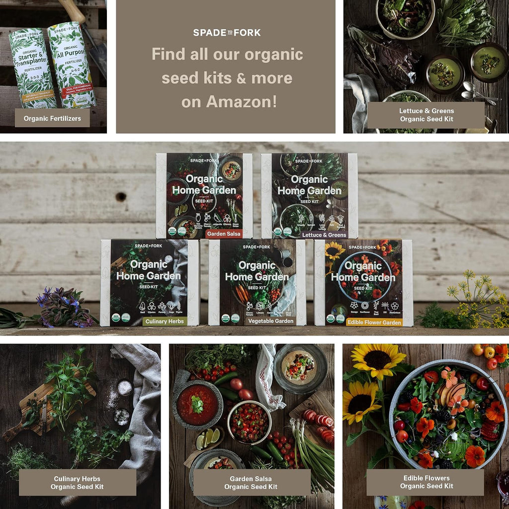 Organic Indoor Vegetable Garden Starter Kit - Made in USA - Certified USDA Organic - 5 Seed Types Cherry Tomato, Lettuce, Carrot, Radish, Green Bean | Indoor Plant Seeds, Indoor Garden Kit, Plant Kit