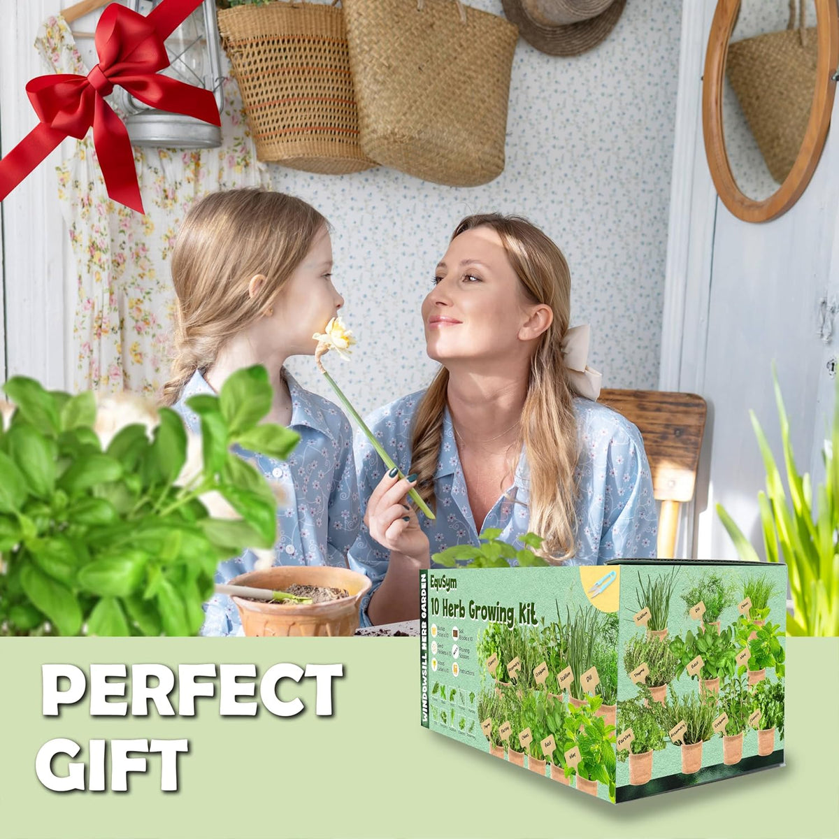 10 Herb Window Garden Kit Indoor, Complete Growing Kit with Pots & Soil