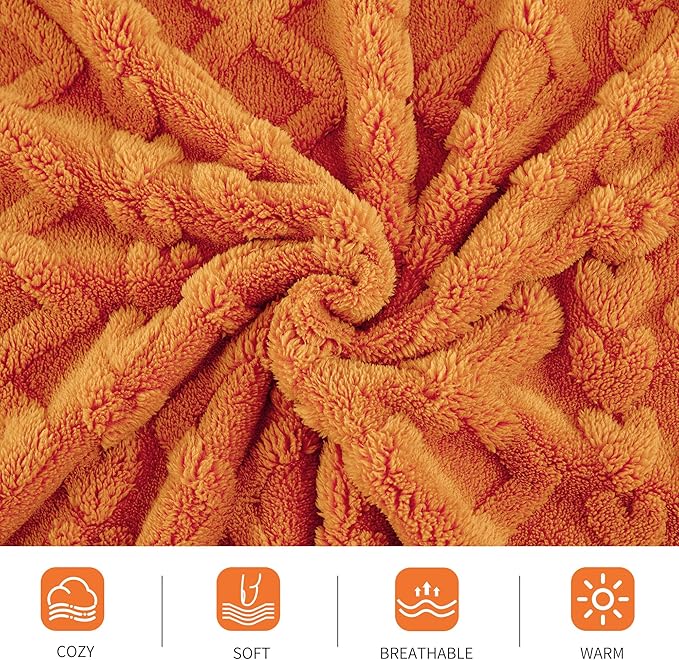 Aganear Blanket Queen Size - Image 5