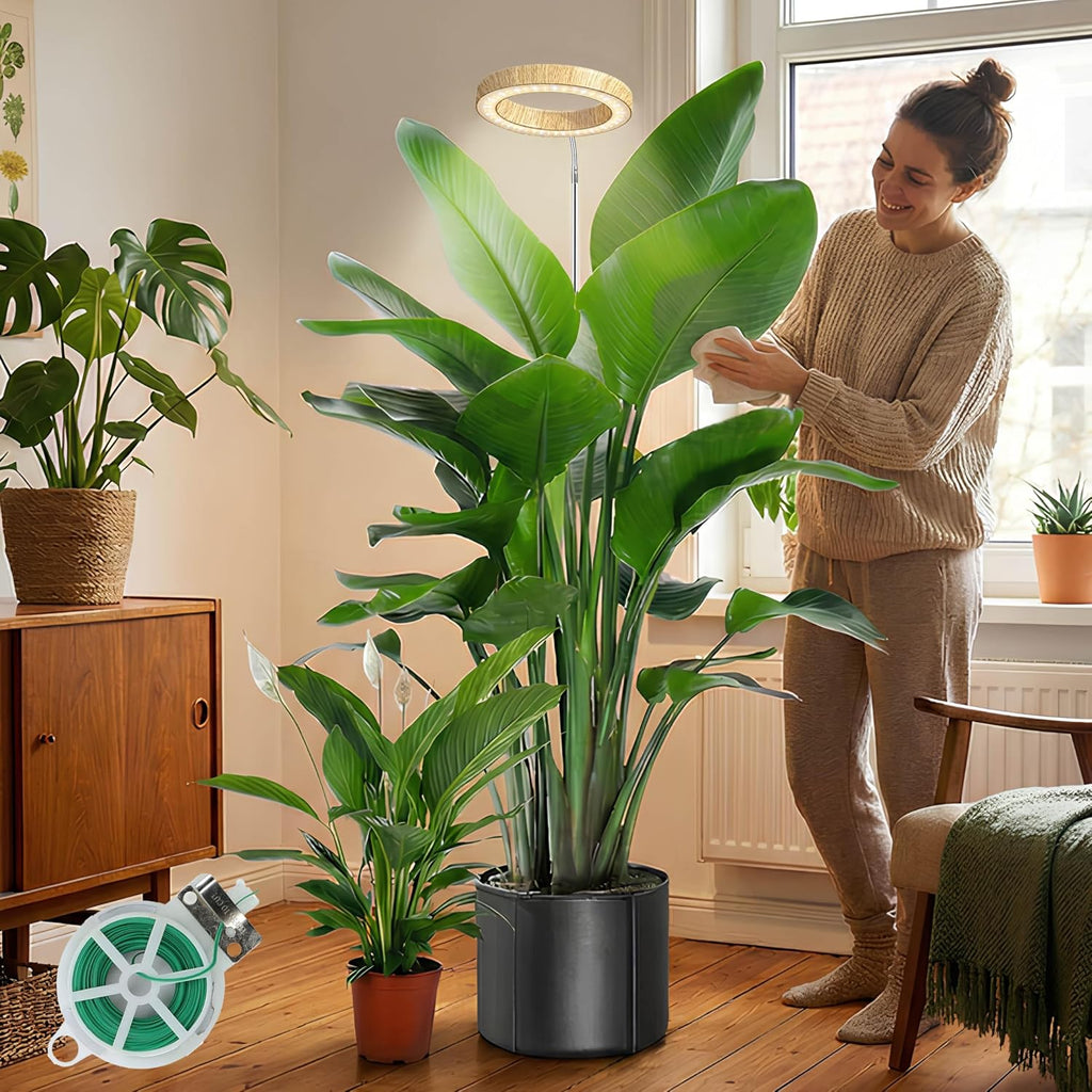 Grow Light for Indoor Plants, 6.3" Full Spectrum LED Plant Grow Light, 11.8-63in Height Adjustable Growing Lamp with Auto Timer 3H/9H/12H, 10 Dimmable Levels (White 1 Pack)
